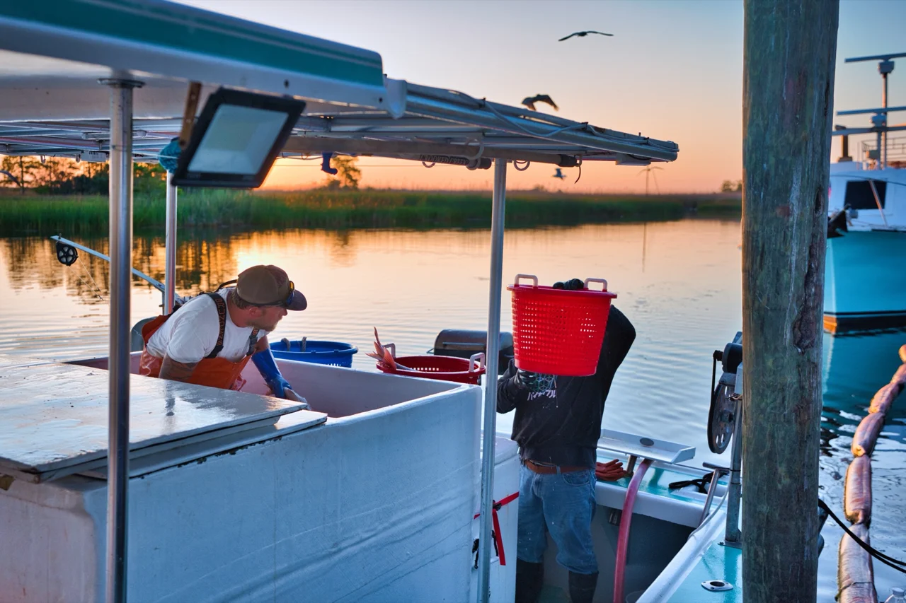 Crew at work aboard a fishing boat alongside the dock