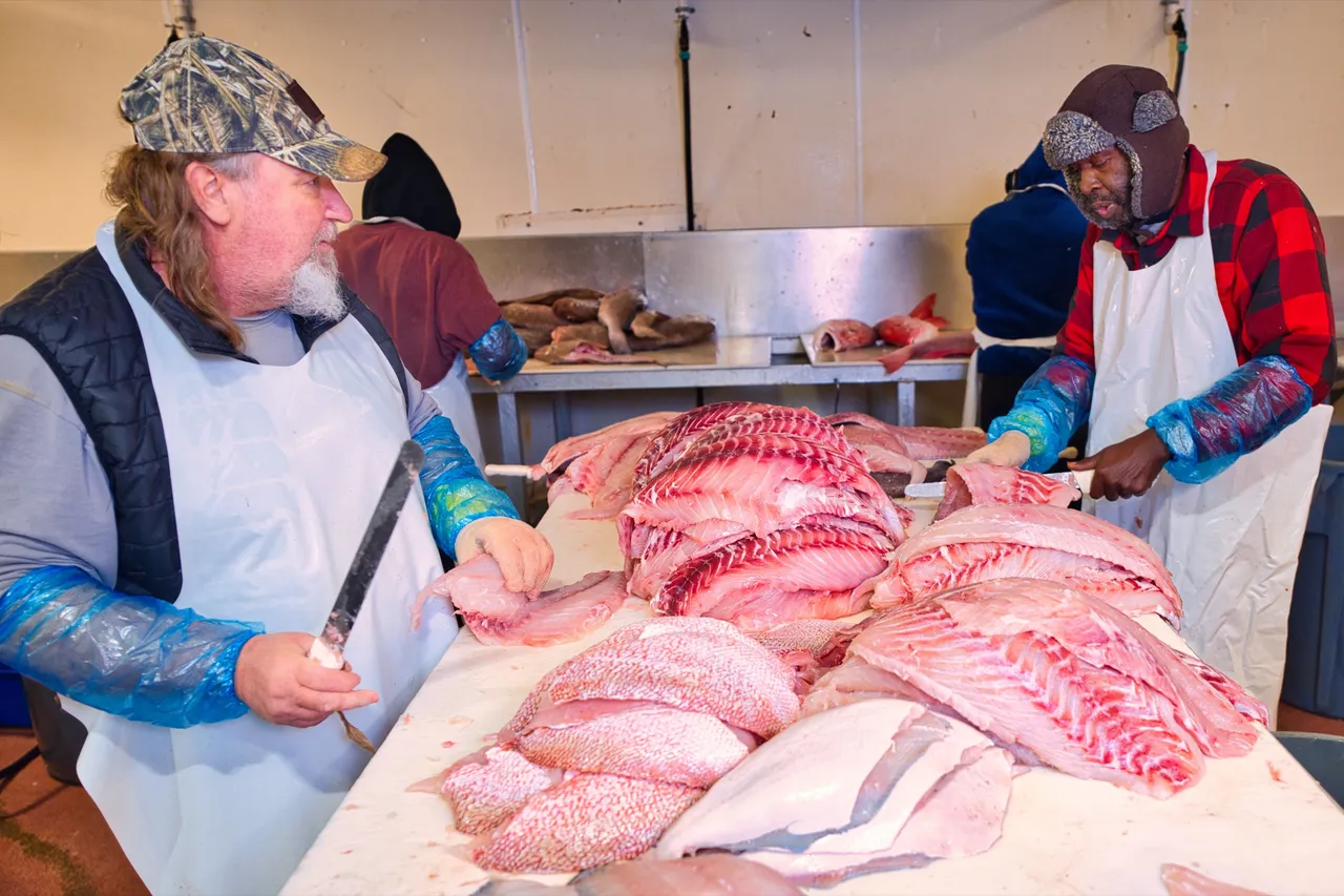 Two Water Street cutters portioning fillets at the processing table